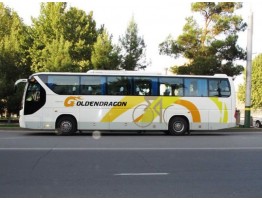 BUS GOLDEN DRAGON